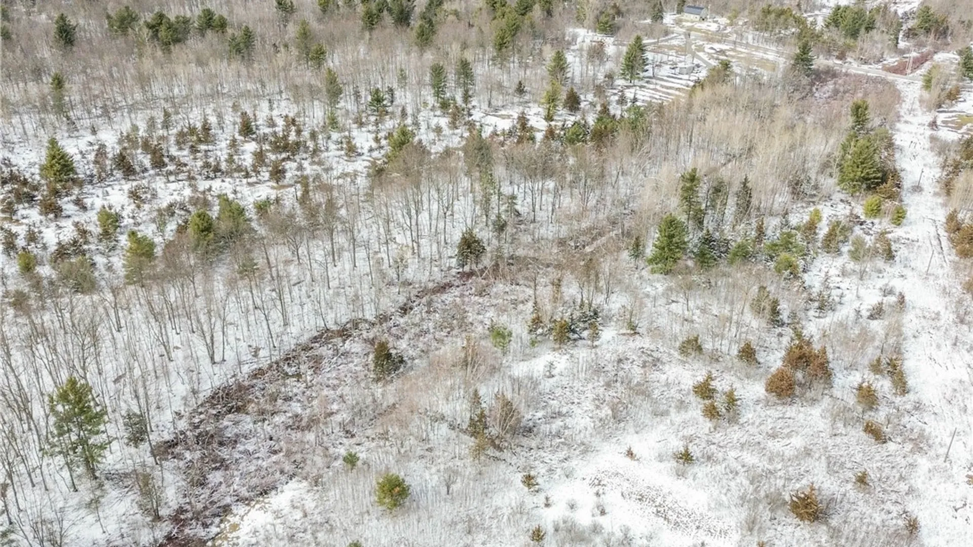 Property at Simpson Road, Theresa, NY 13691 19