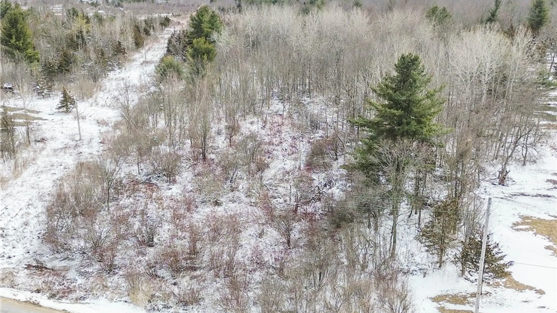 Property at Simpson Road, Theresa, NY 13691 2