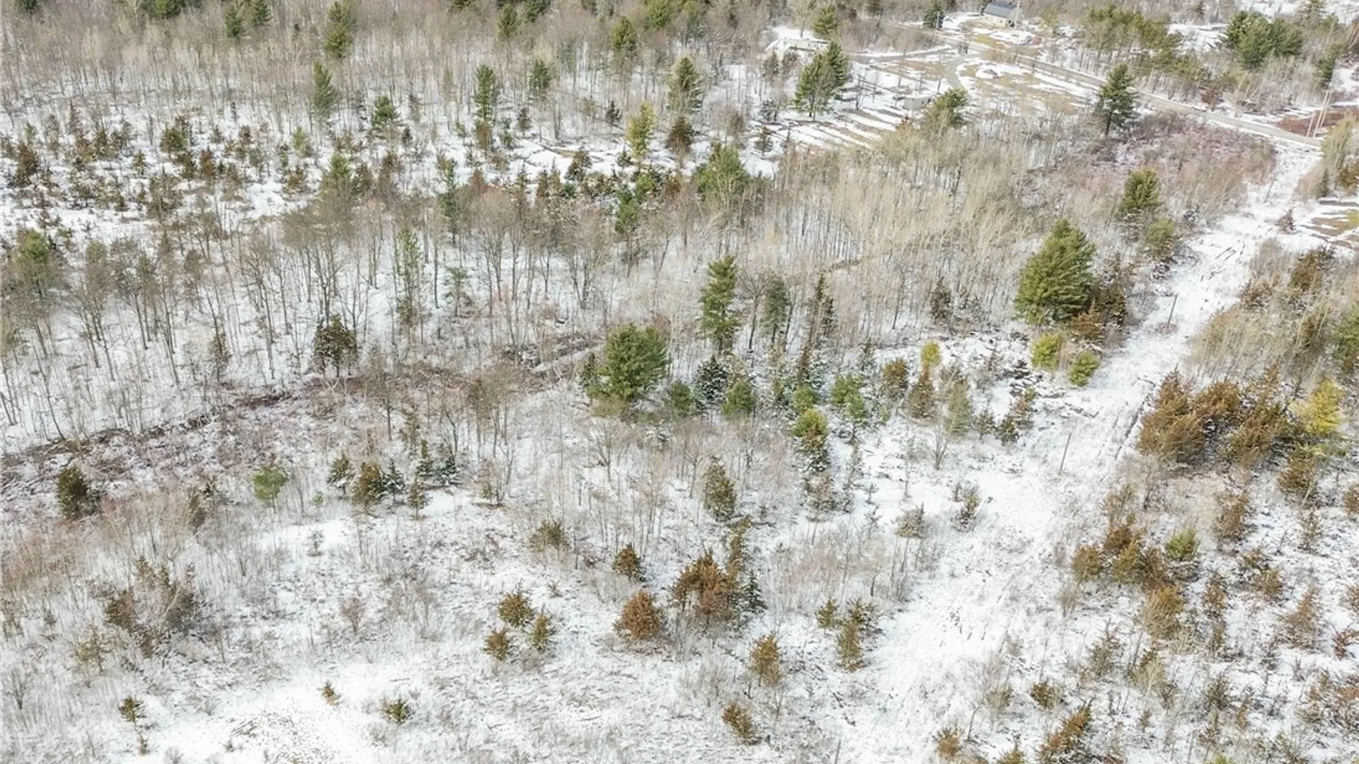 Property at Simpson Road, Theresa, NY 13691 21