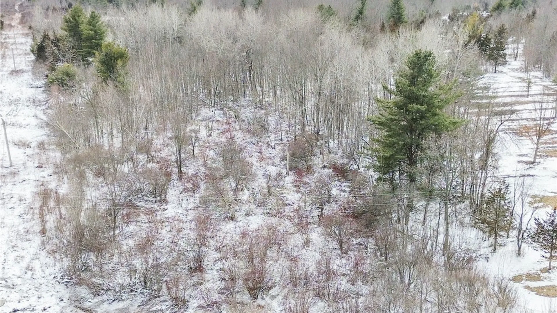 Property at Simpson Road, Theresa, NY 13691 3