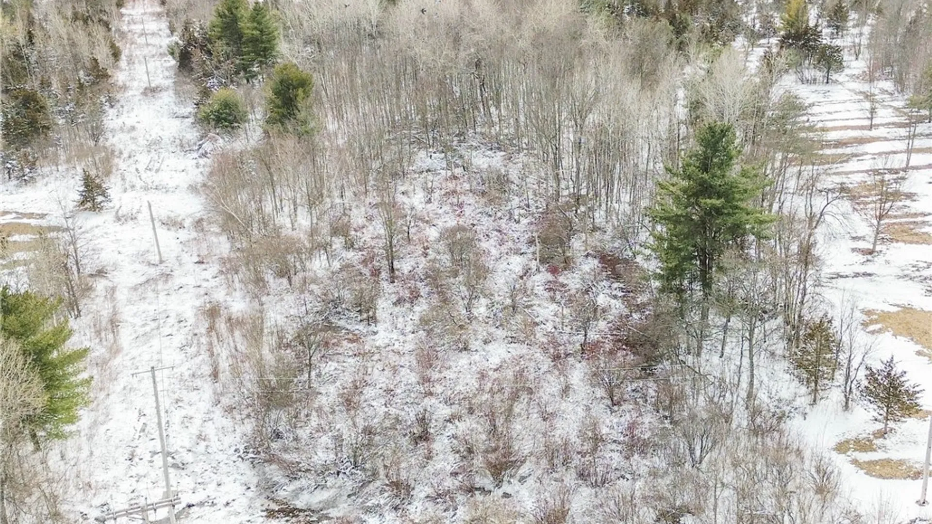 Property at Simpson Road, Theresa, NY 13691 4