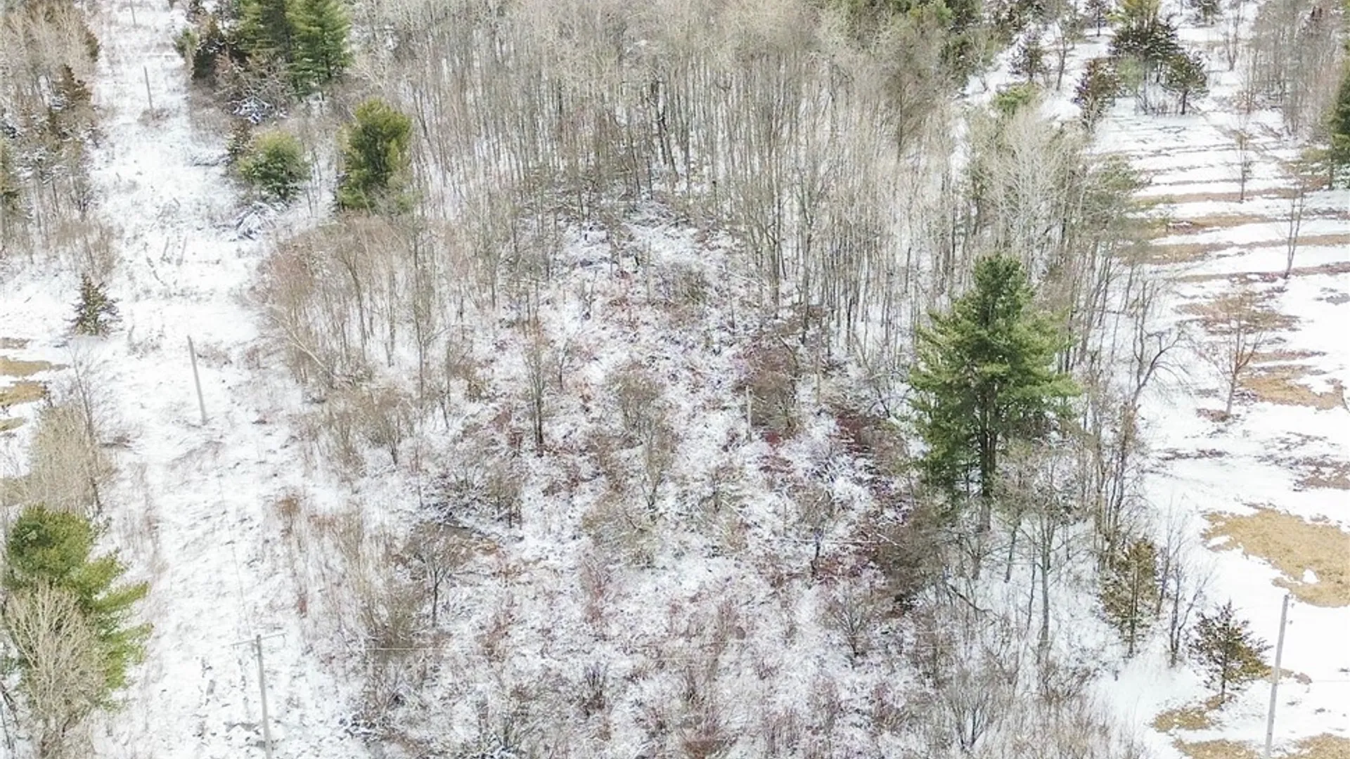 Property at Simpson Road, Theresa, NY 13691 5