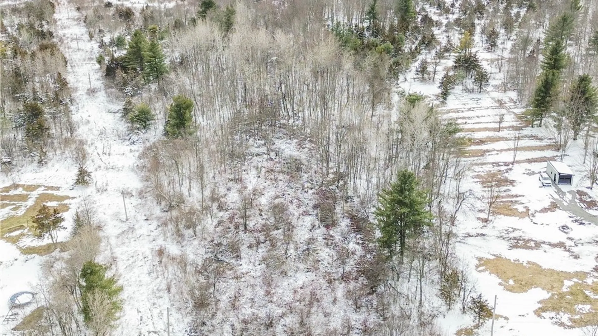 Property at Simpson Road, Theresa, NY 13691 6