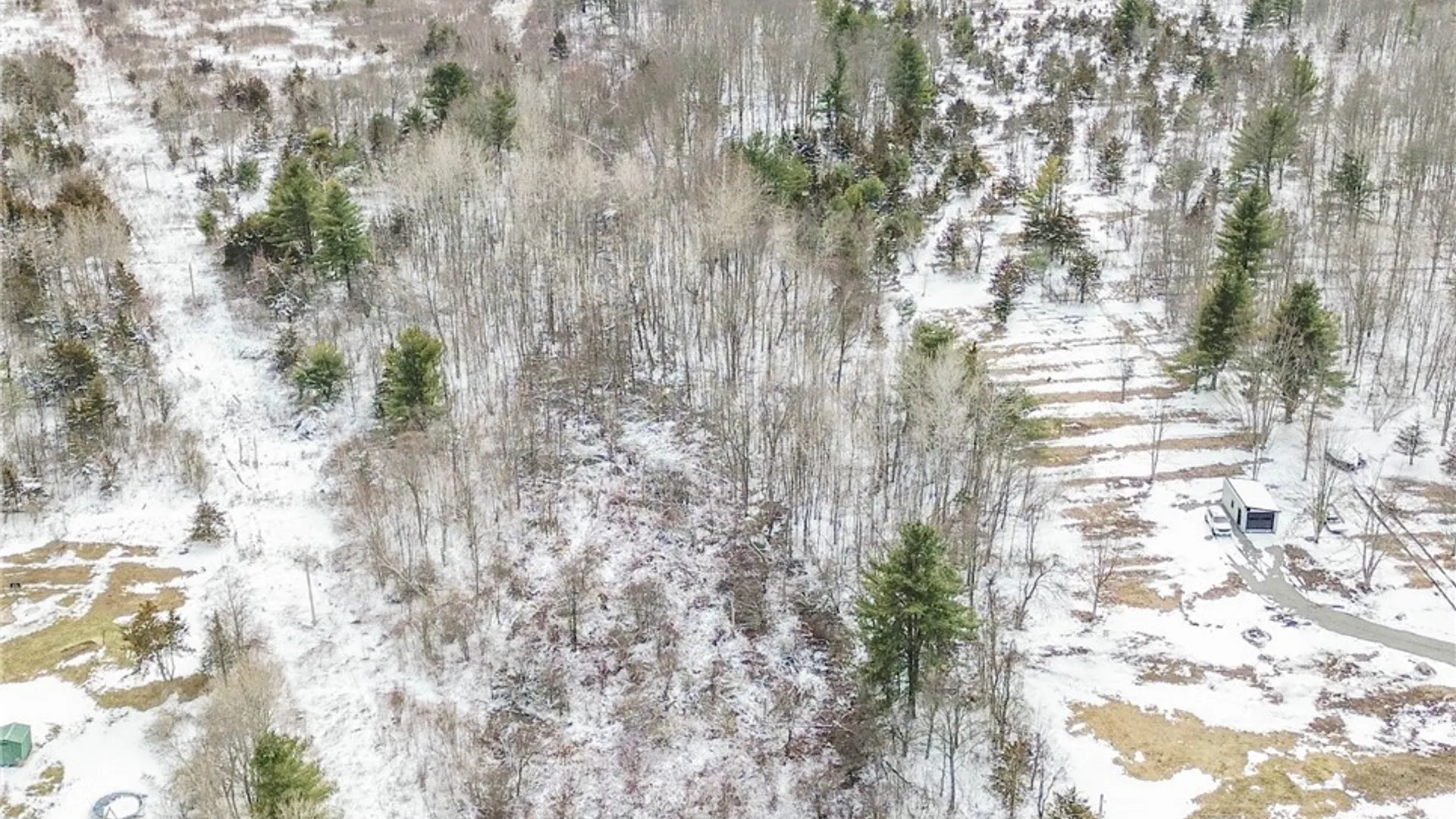 Property at Simpson Road, Theresa, NY 13691 7