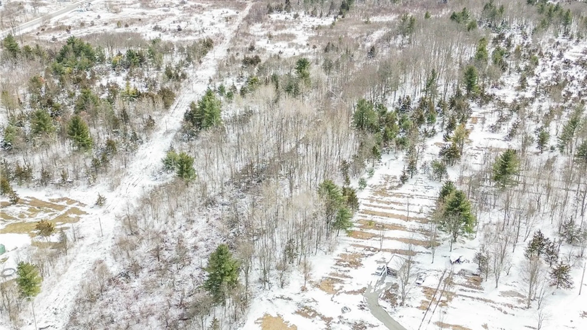 Property at Simpson Road, Theresa, NY 13691 9