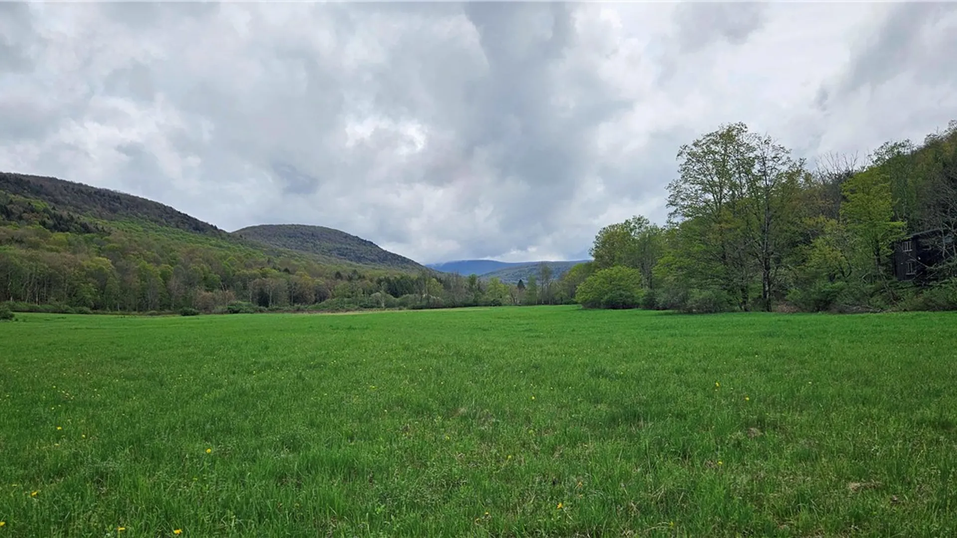 Property at 1375 Dimmick Mountain Road, Middletown, NY 12455 8