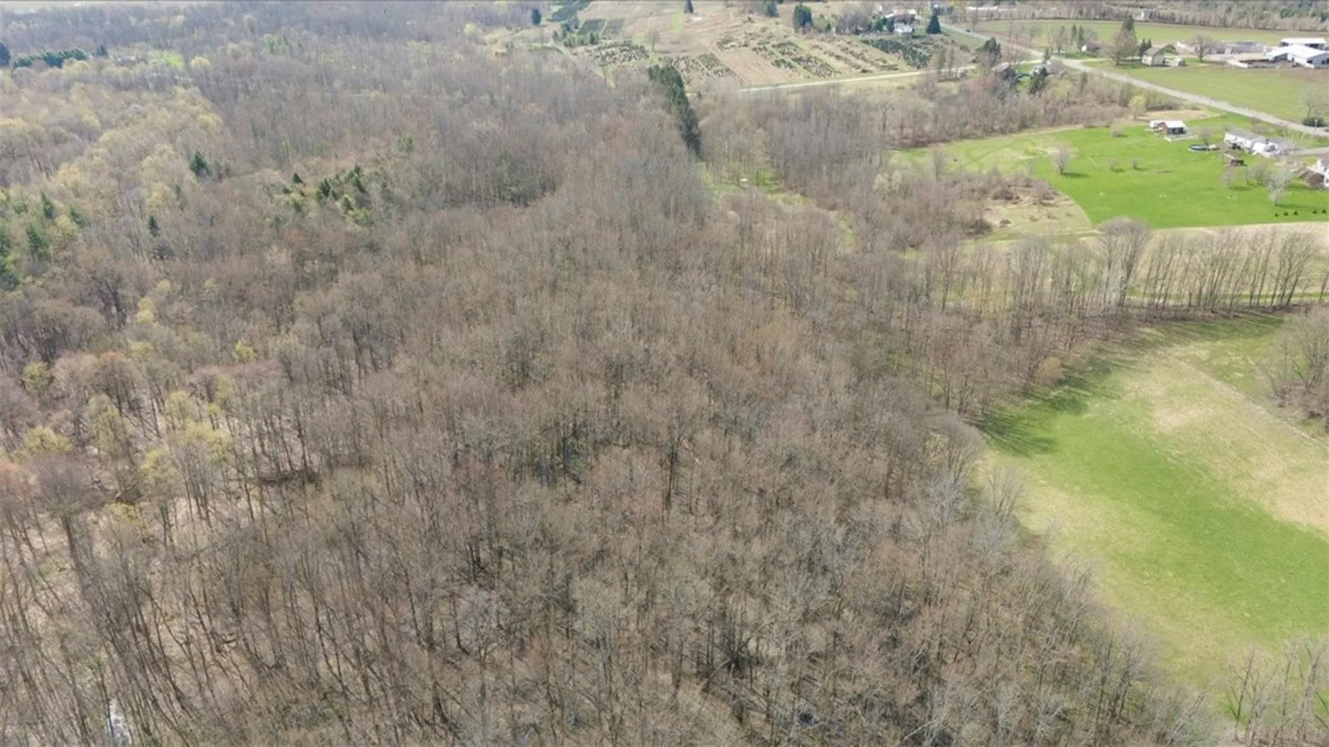 Property at 3633 Warner Road, Marion, NY 14505 12