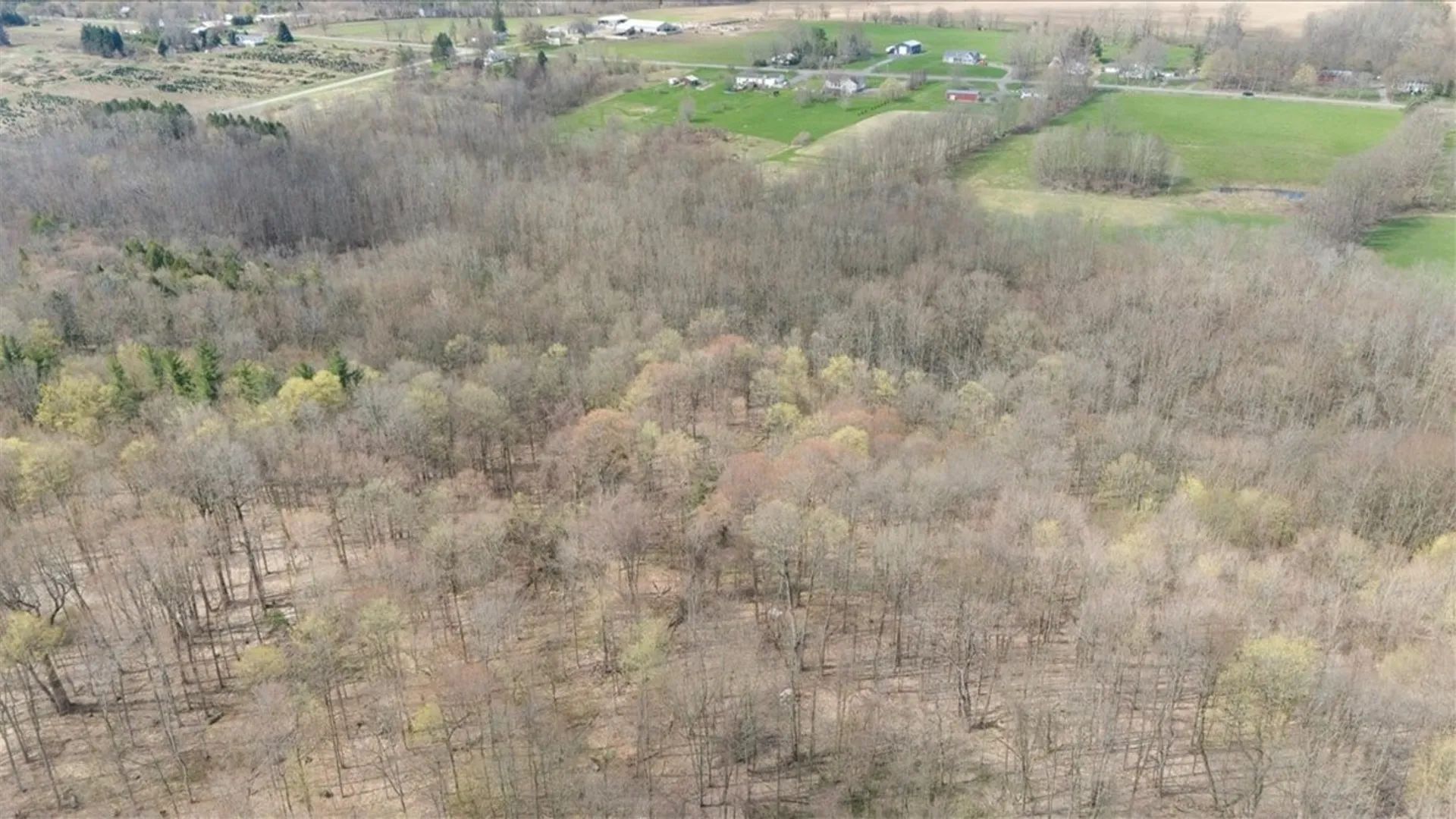 Property at 3633 Warner Road, Marion, NY 14505 25