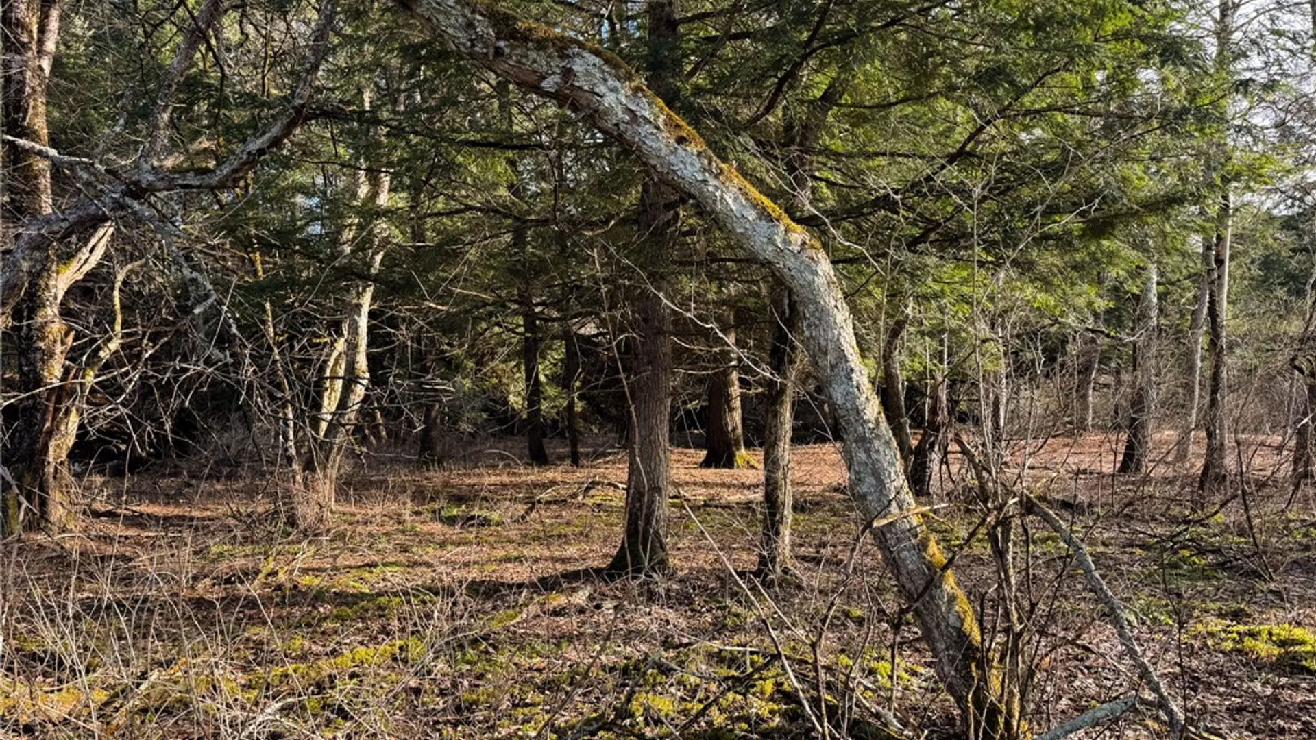 Property at County Highway 16, Burlington, NY 13315 13