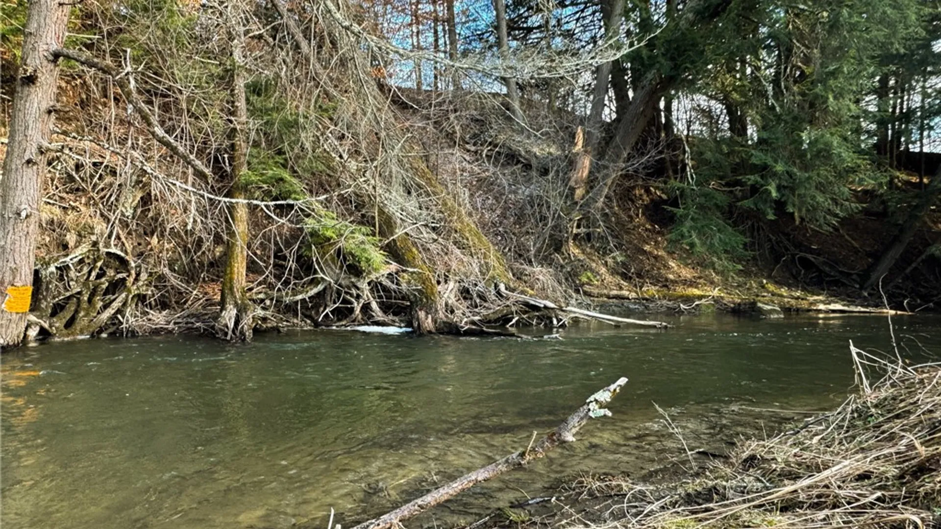 Property at County Highway 16, Burlington, NY 13315 4