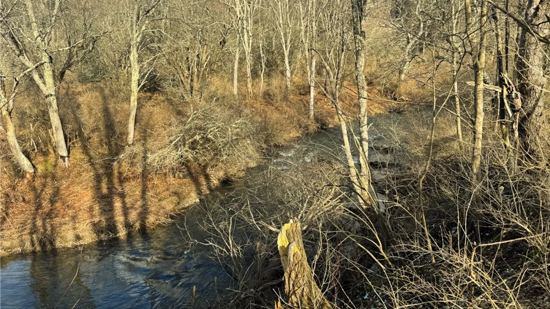 Property at County Highway 16, Burlington, NY 13315 5