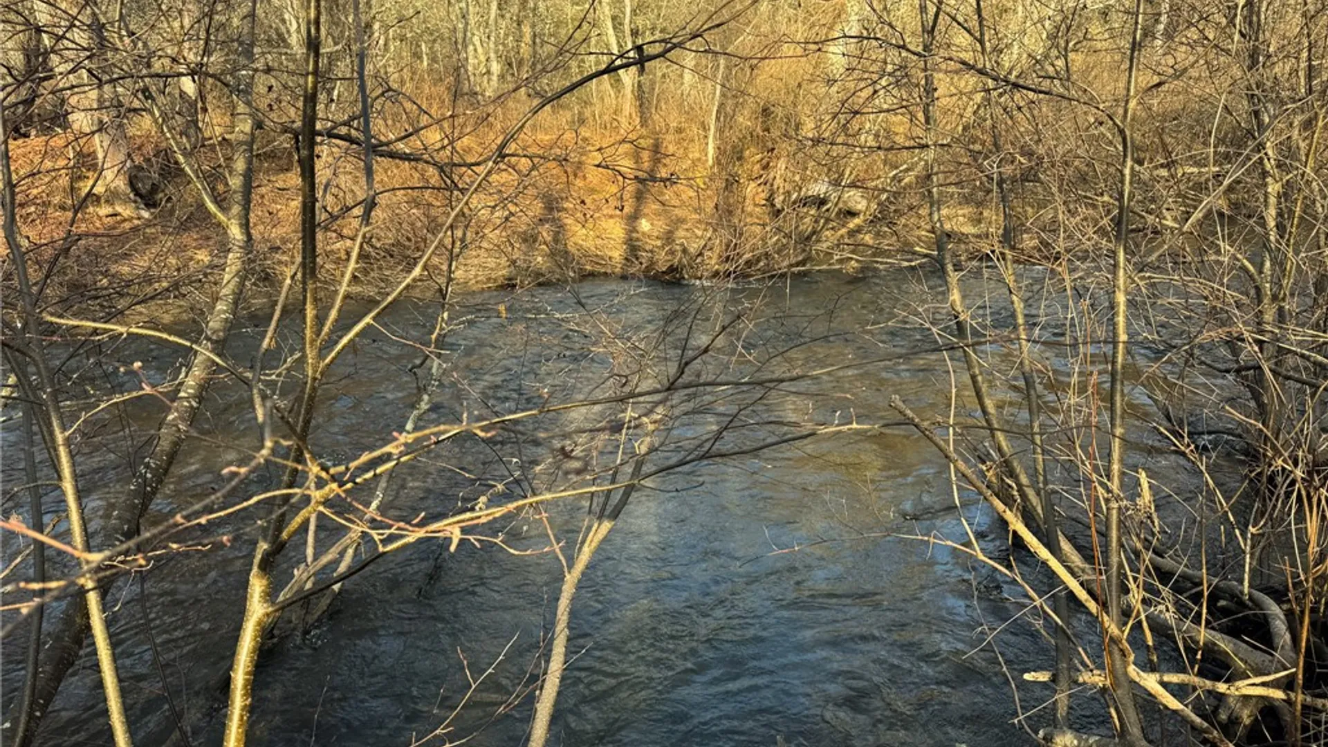 Property at County Highway 16, Burlington, NY 13315 6