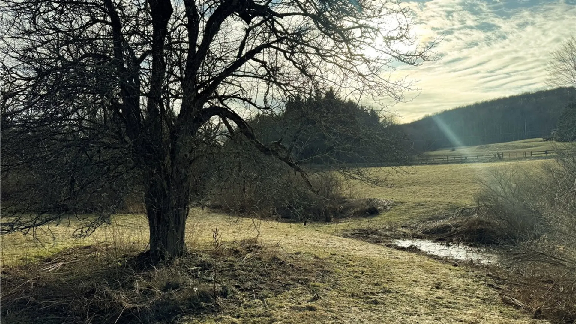 Property at County Highway 16, Burlington, NY 13315 9