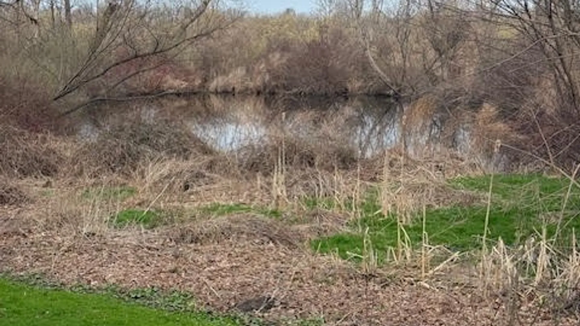 Property at 345 Main Street, Westfield, NY 14787 36