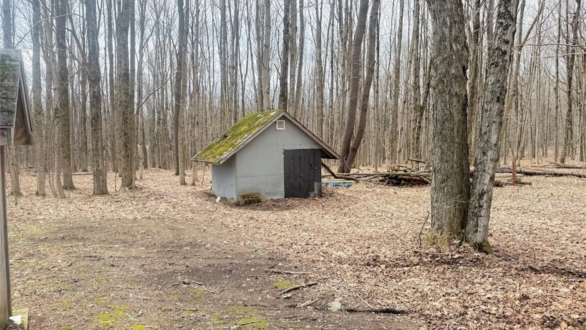 Property at 437 Albion Cross Road, Albion, NY 13142 7