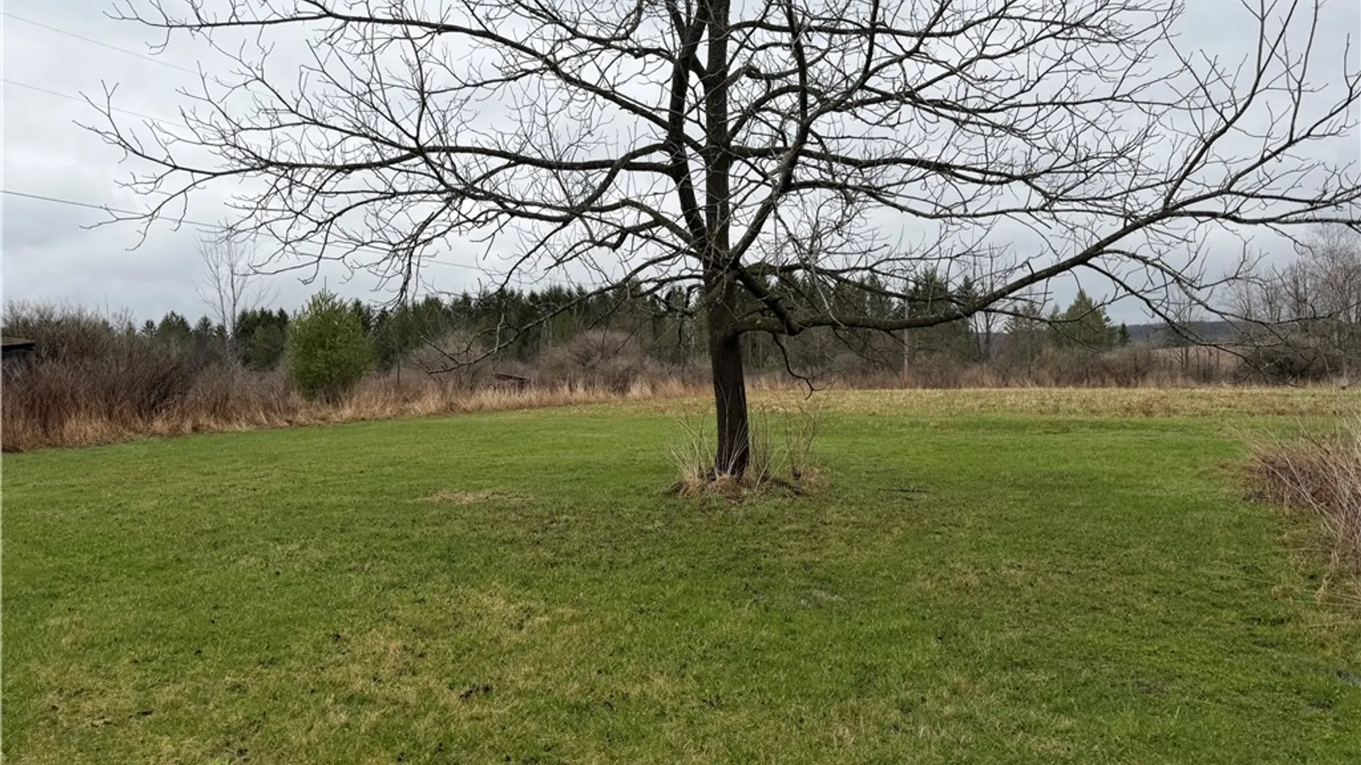 Property at 6455 Yost Road, Thurston, NY 14820 4