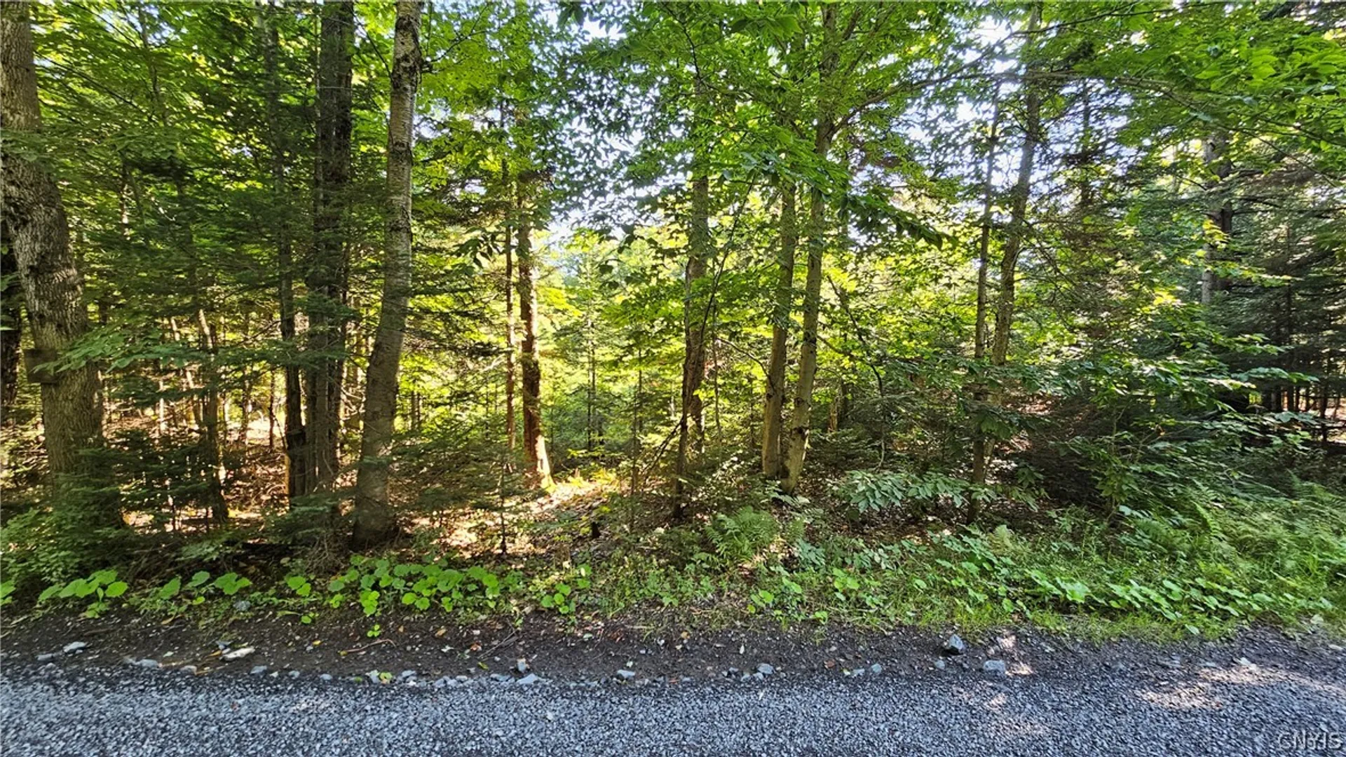 Property at 00 Rowsam Road, Martinsburg, NY 13404 2