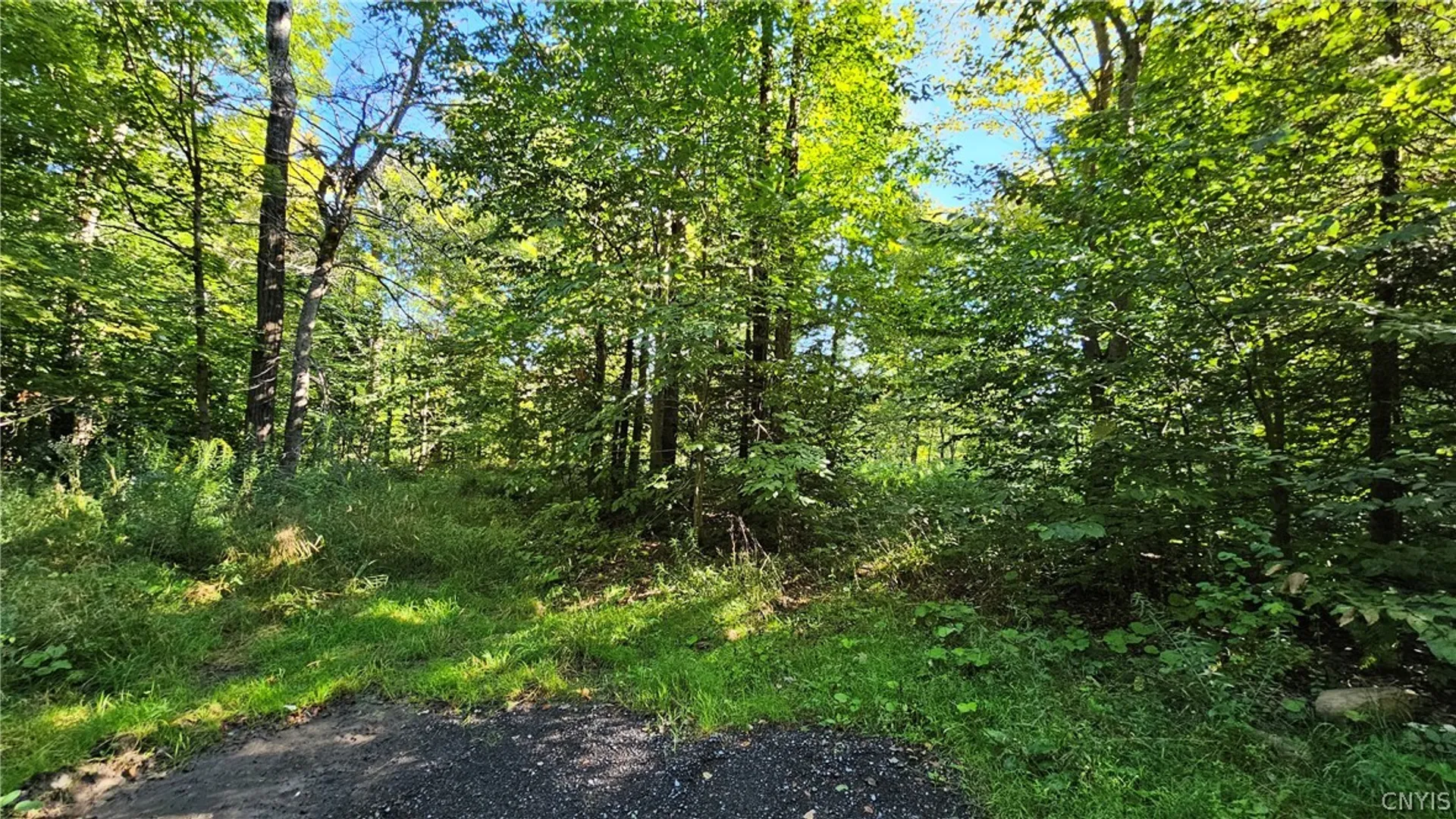 Property at 00 Rowsam Road, Martinsburg, NY 13404 3