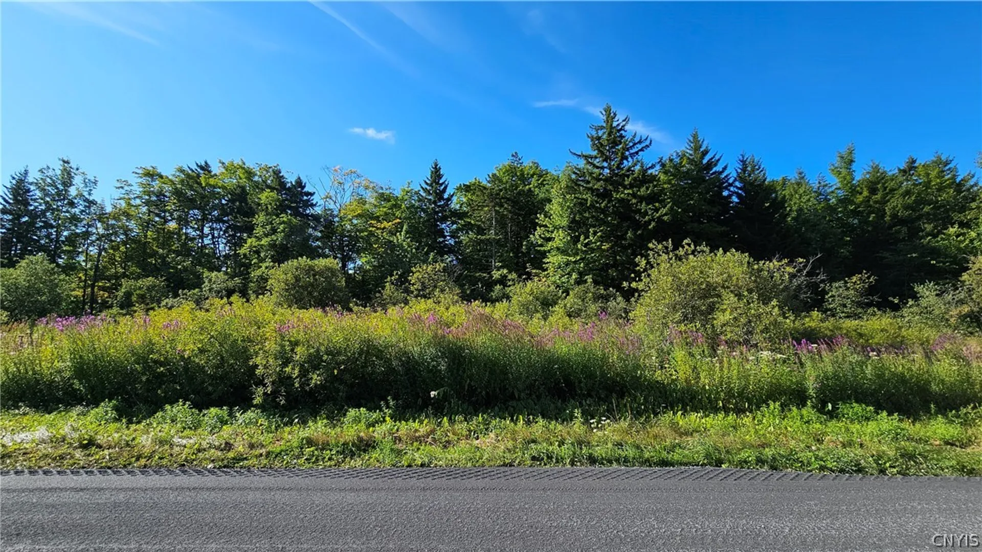 Property at 00 Rowsam Road, Martinsburg, NY 13404 6