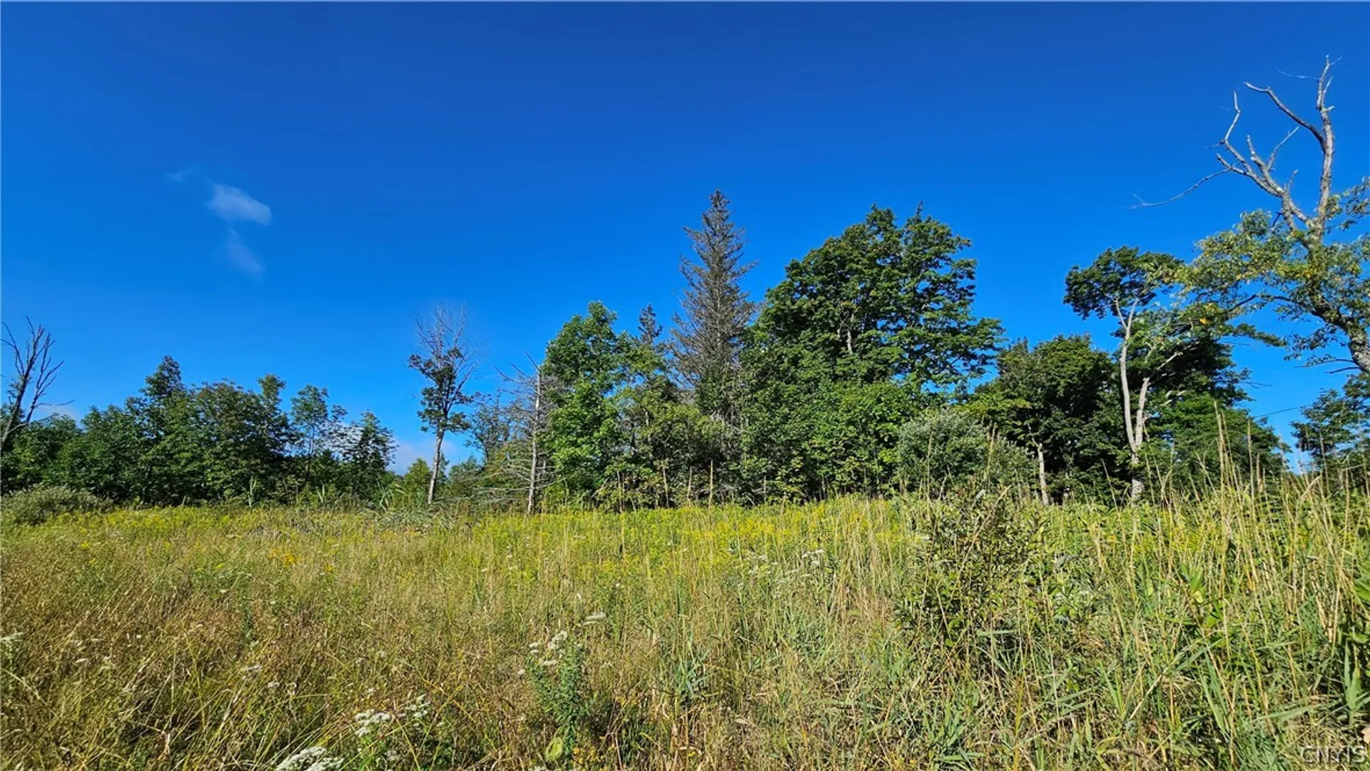 Property at 00 Rowsam Road, Martinsburg, NY 13404 9