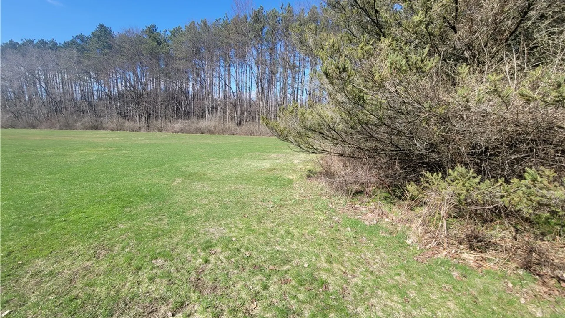 Property at Cherry Street, Carroll, NY 14738 9