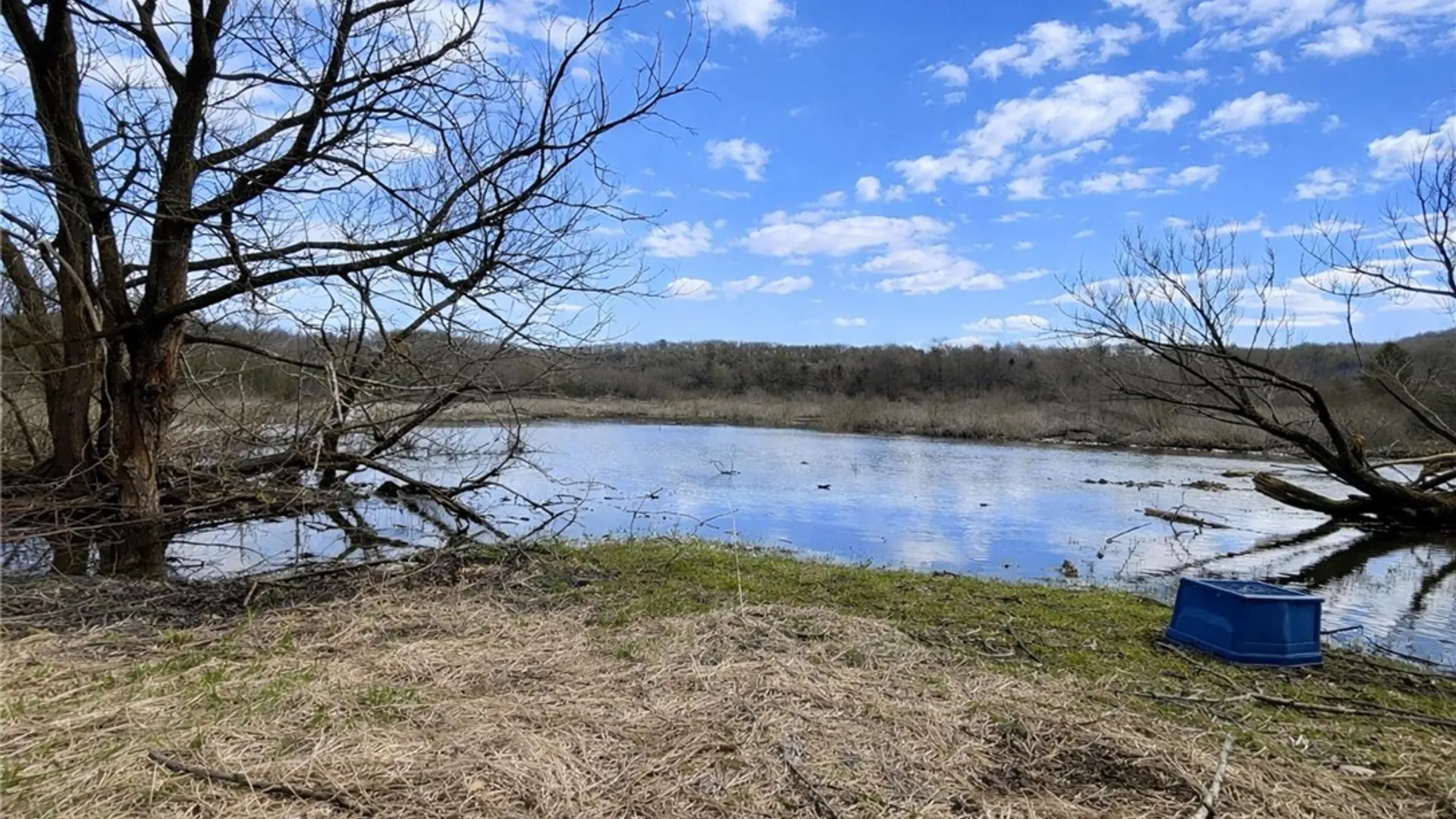 Property at 10078 Route 16, Machias, NY 14042 8