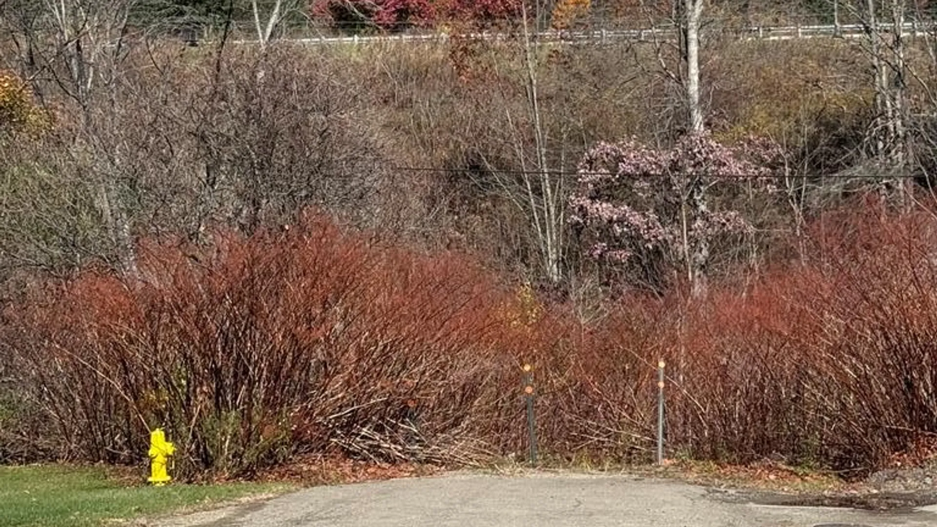 Property at 9 3rd Street, Foster Town, PA 16701 36