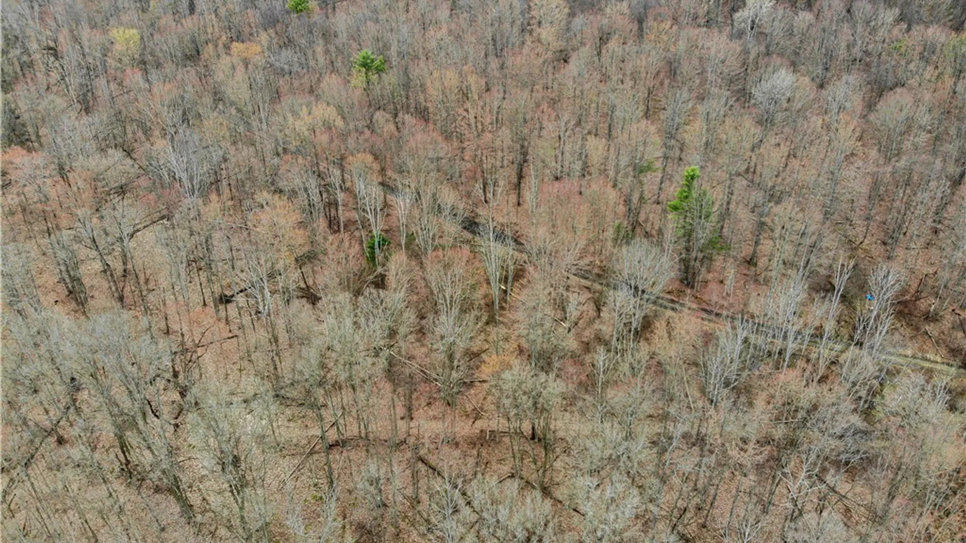 Property at 9446 County Route 9, Avoca, NY 14809 11