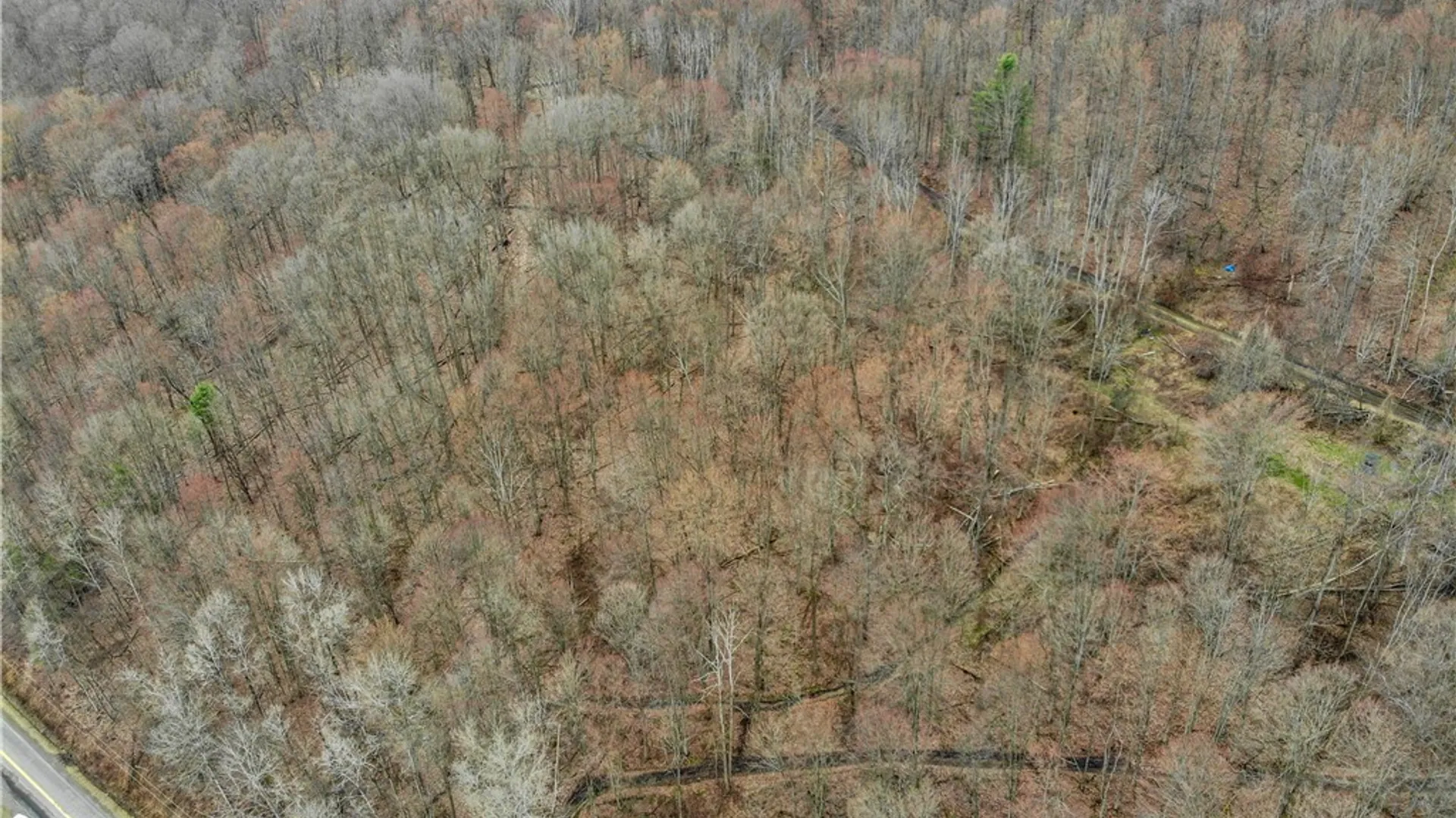 Property at 9446 County Route 9, Avoca, NY 14809 13