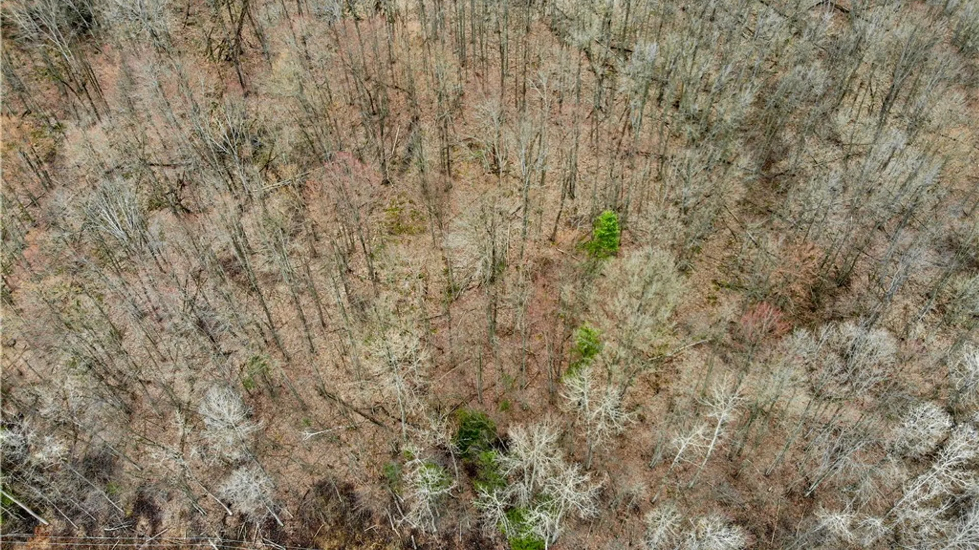 Property at 9446 County Route 9, Avoca, NY 14809 14