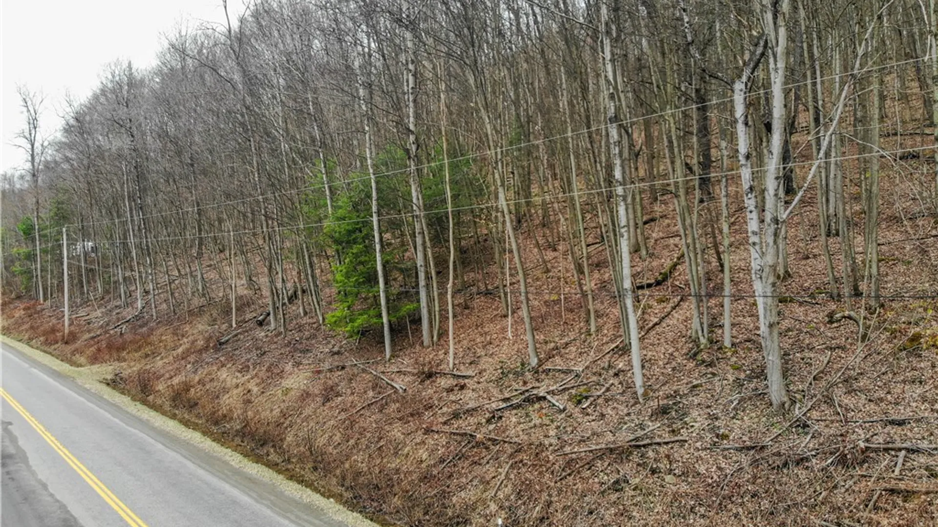 Property at 9446 County Route 9, Avoca, NY 14809 17