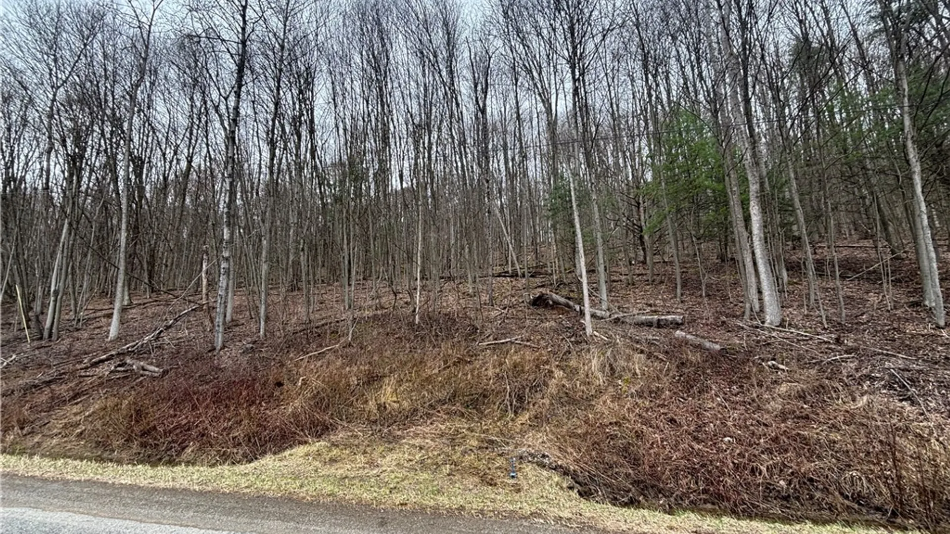 Property at 9446 County Route 9, Avoca, NY 14809 2