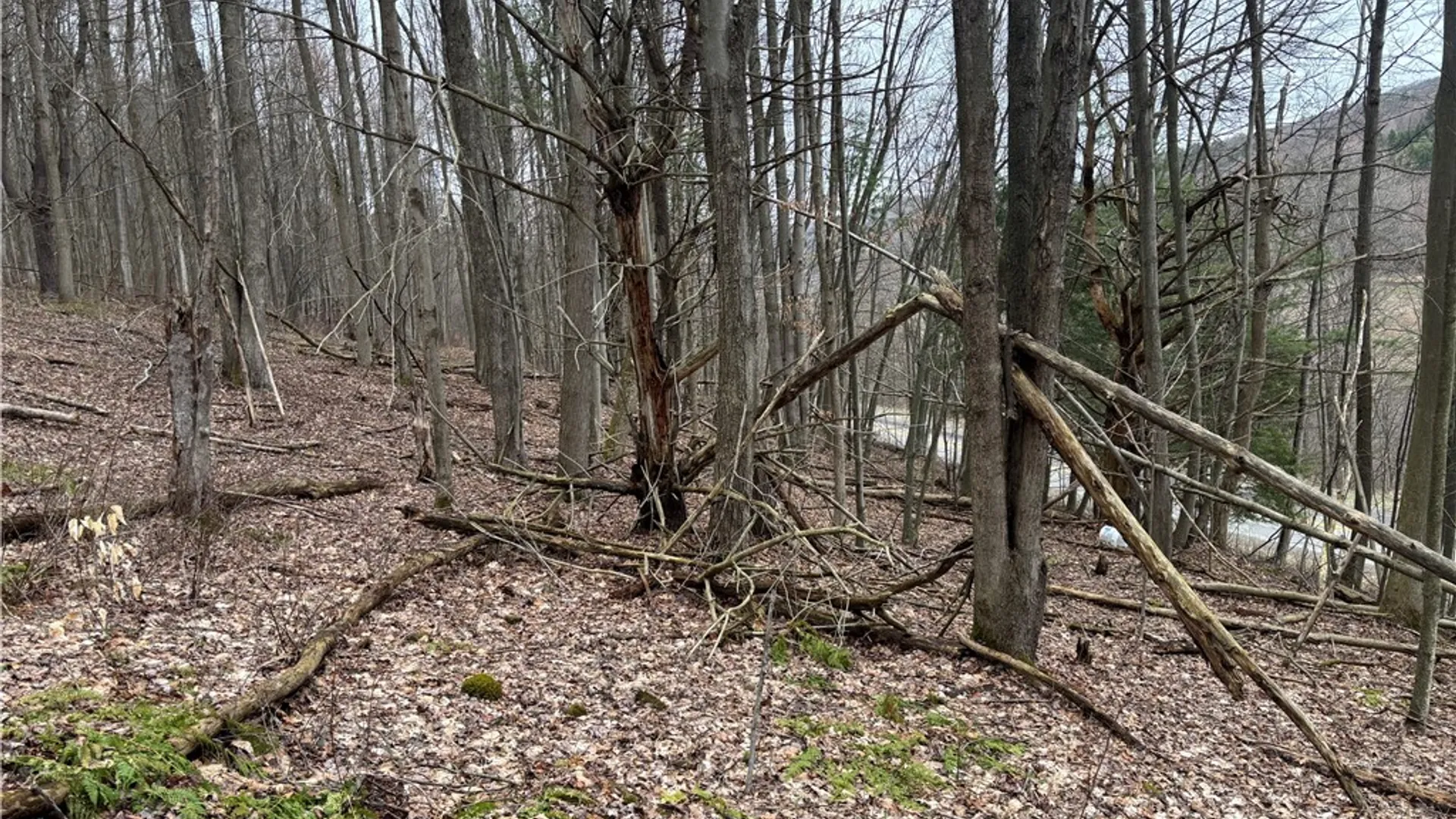 Property at 9446 County Route 9, Avoca, NY 14809 4