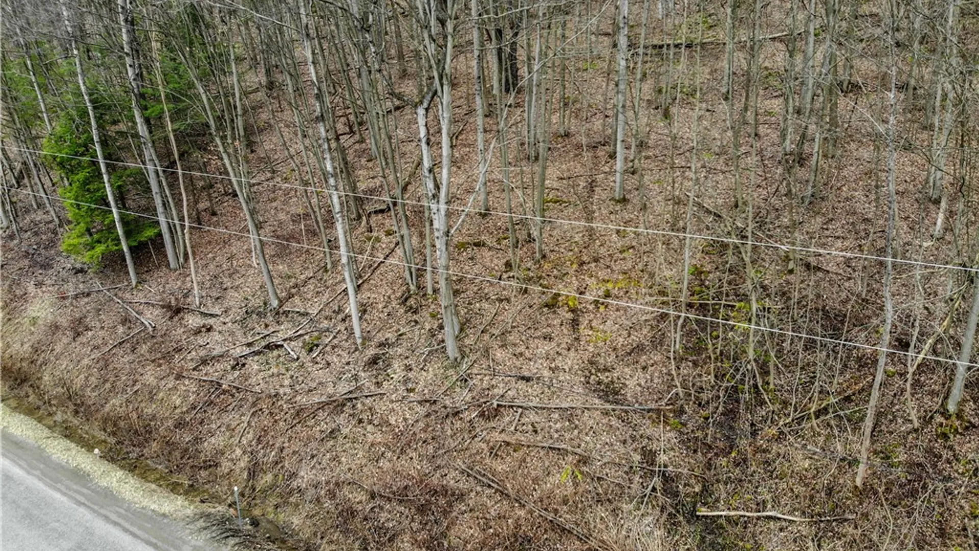 Property at 9446 County Route 9, Avoca, NY 14809 8