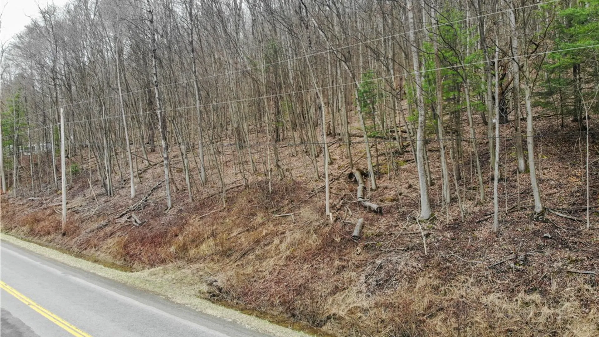 Property at 9446 County Route 9, Avoca, NY 14809 9