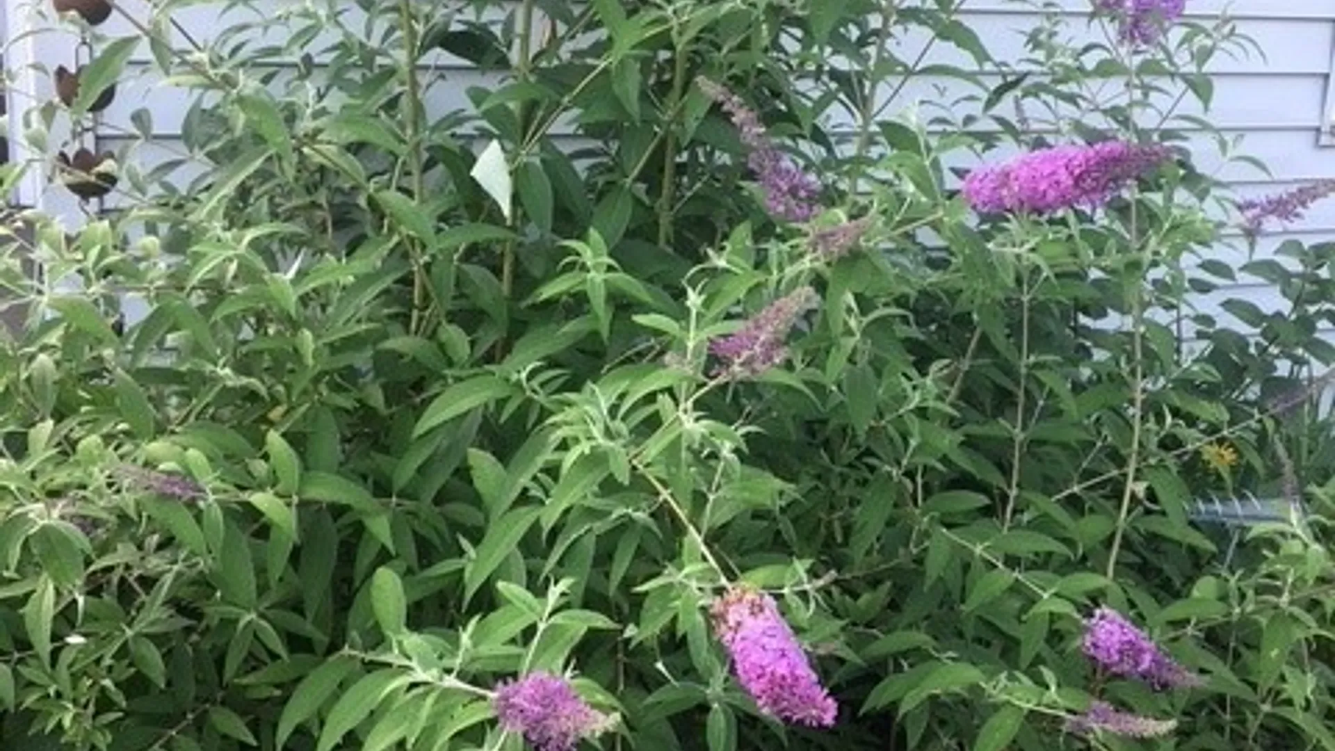 Property at 59 Armstrong Avenue, Irondequoit, NY 14617 38