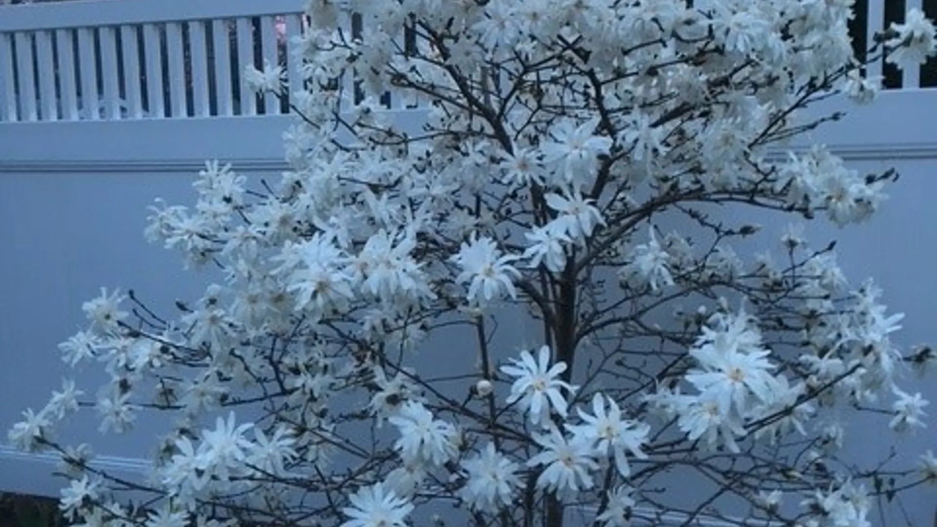 Property at 59 Armstrong Avenue, Irondequoit, NY 14617 39