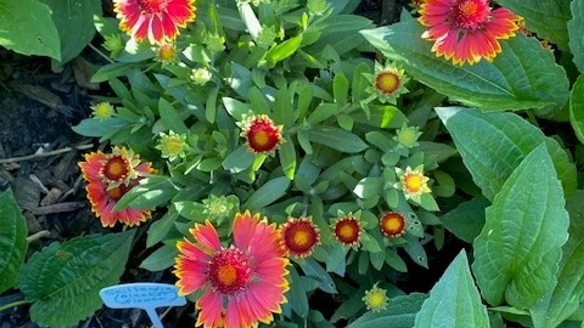 Property at 59 Armstrong Avenue, Irondequoit, NY 14617 40