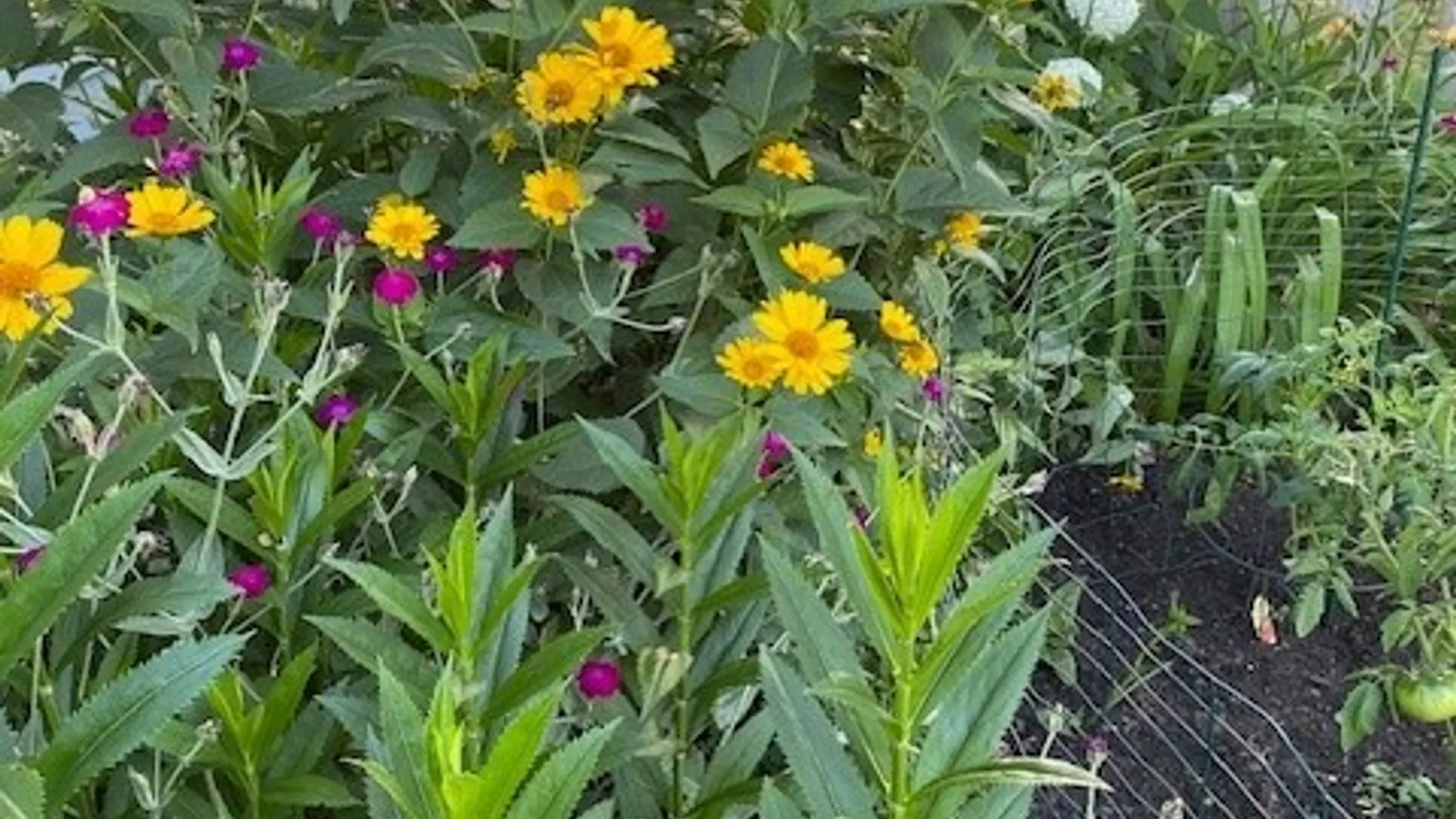 Property at 59 Armstrong Avenue, Irondequoit, NY 14617 41