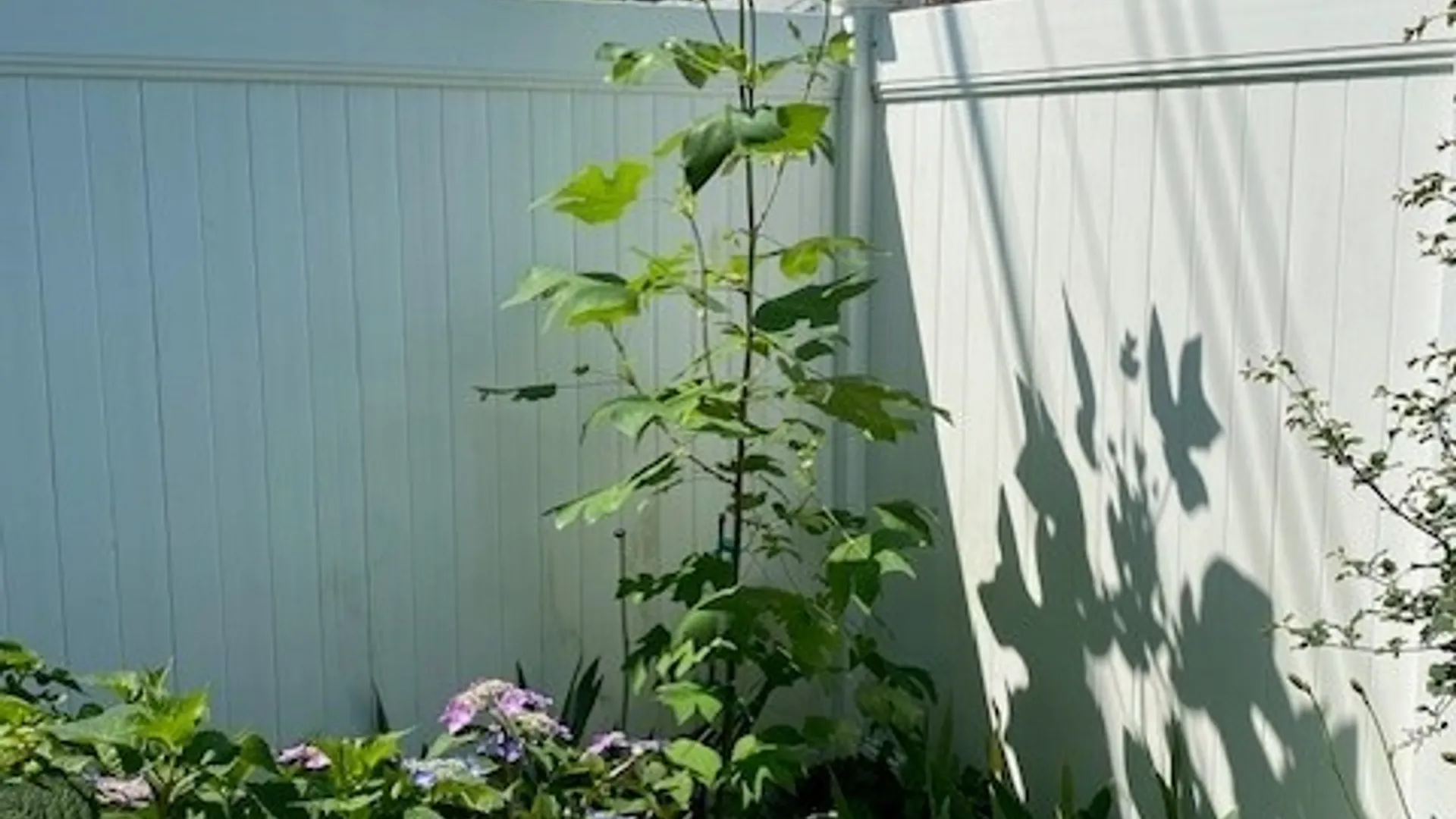 Property at 59 Armstrong Avenue, Irondequoit, NY 14617 46