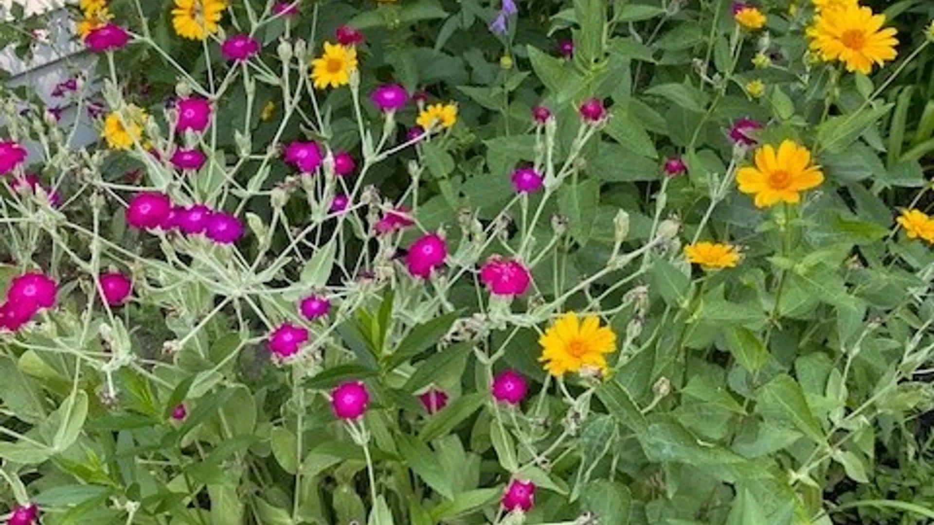 Property at 59 Armstrong Avenue, Irondequoit, NY 14617 47