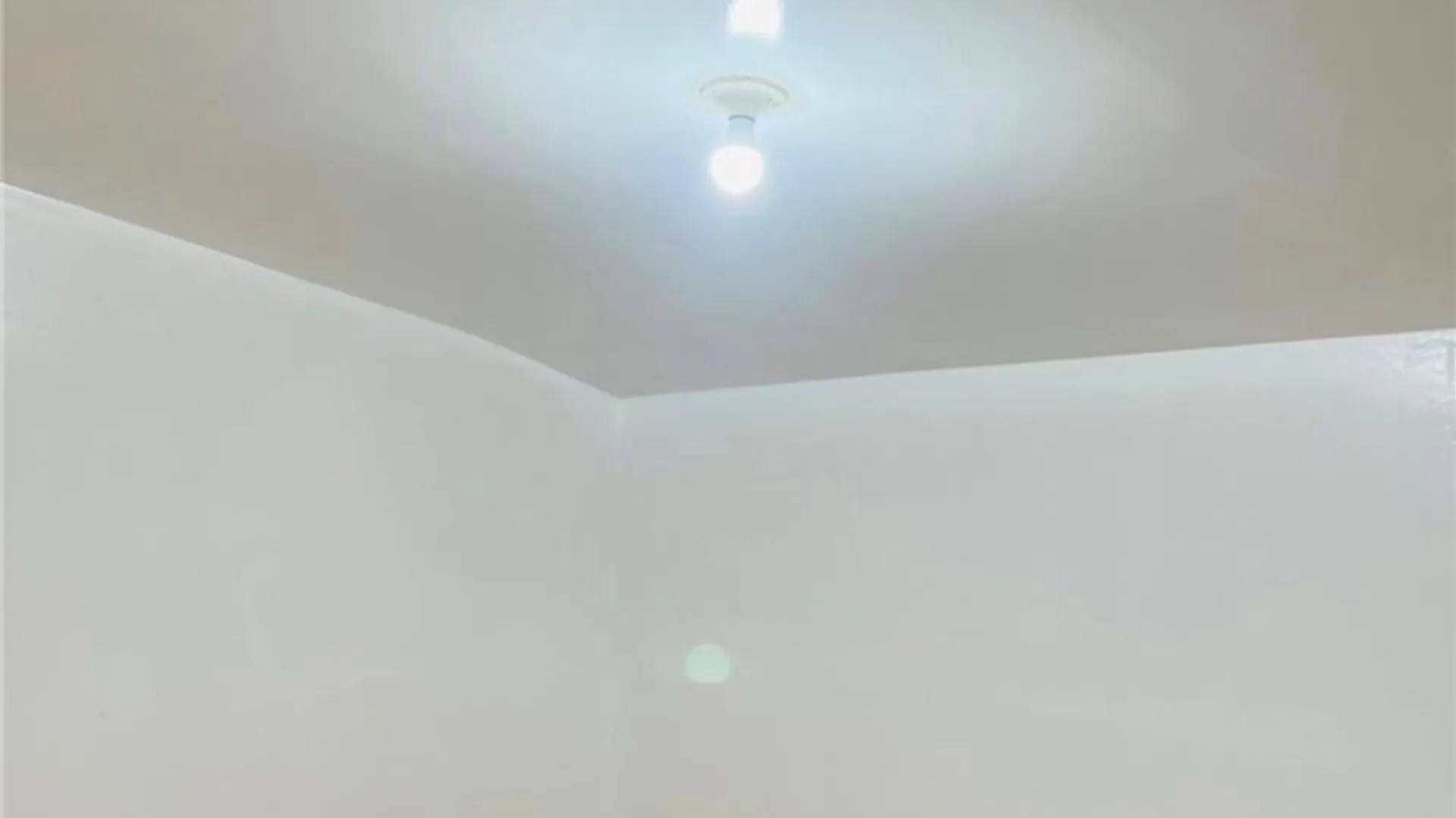 Property at 632 Fillmore Avenue, Buffalo, NY 14212 14