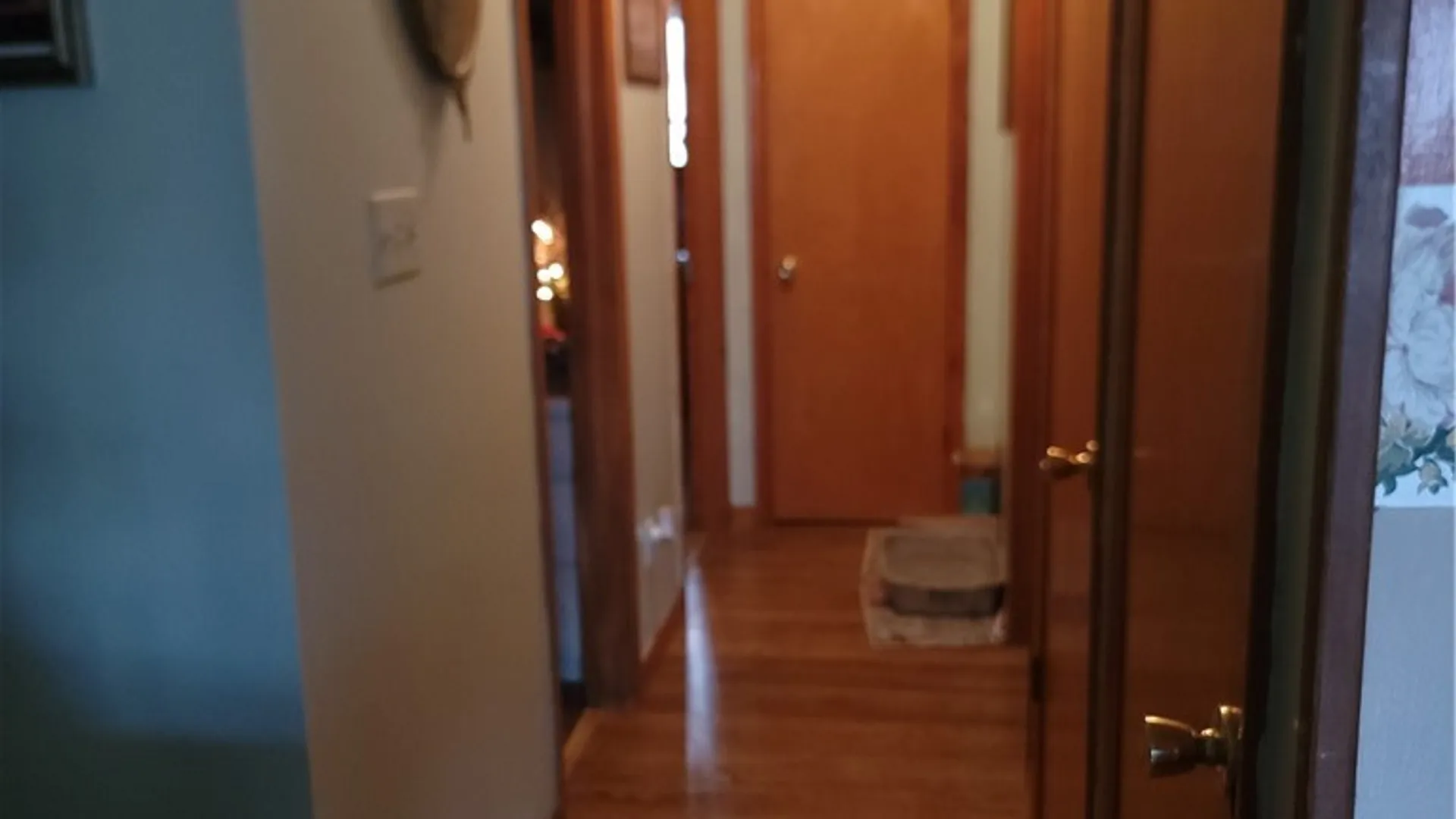 Property at 295 Vedder, St Johnsville, NY 13452 22