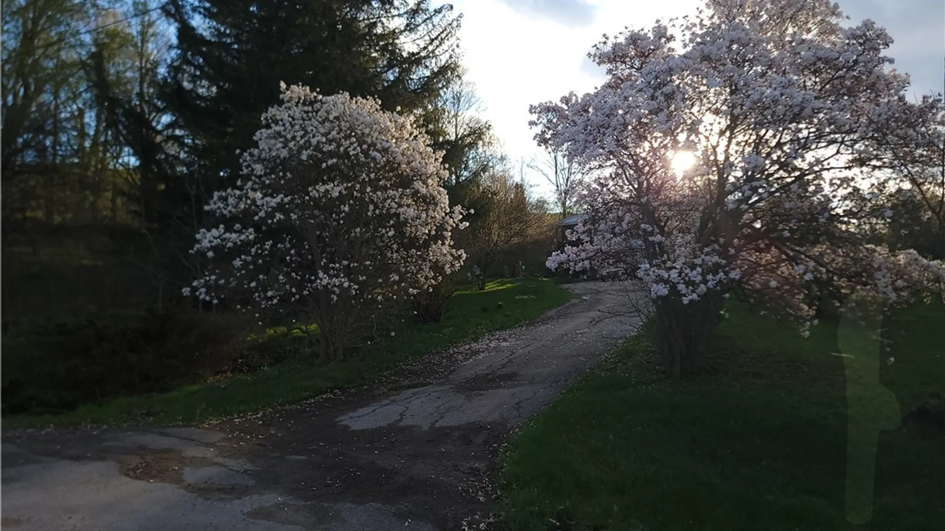 Property at 295 Vedder, St Johnsville, NY 13452 33