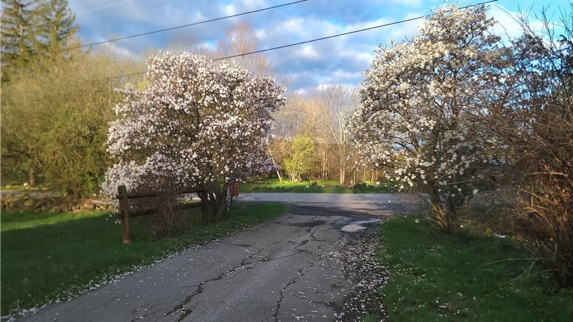 Property at 295 Vedder, St Johnsville, NY 13452 4