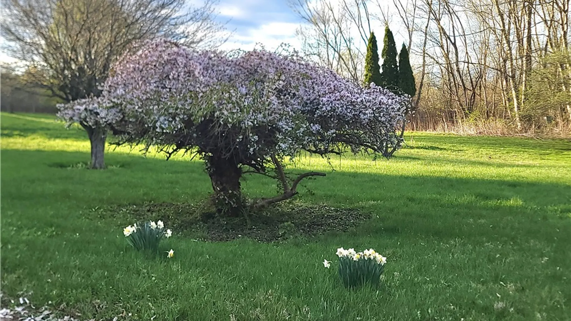 Property at 295 Vedder, St Johnsville, NY 13452 5