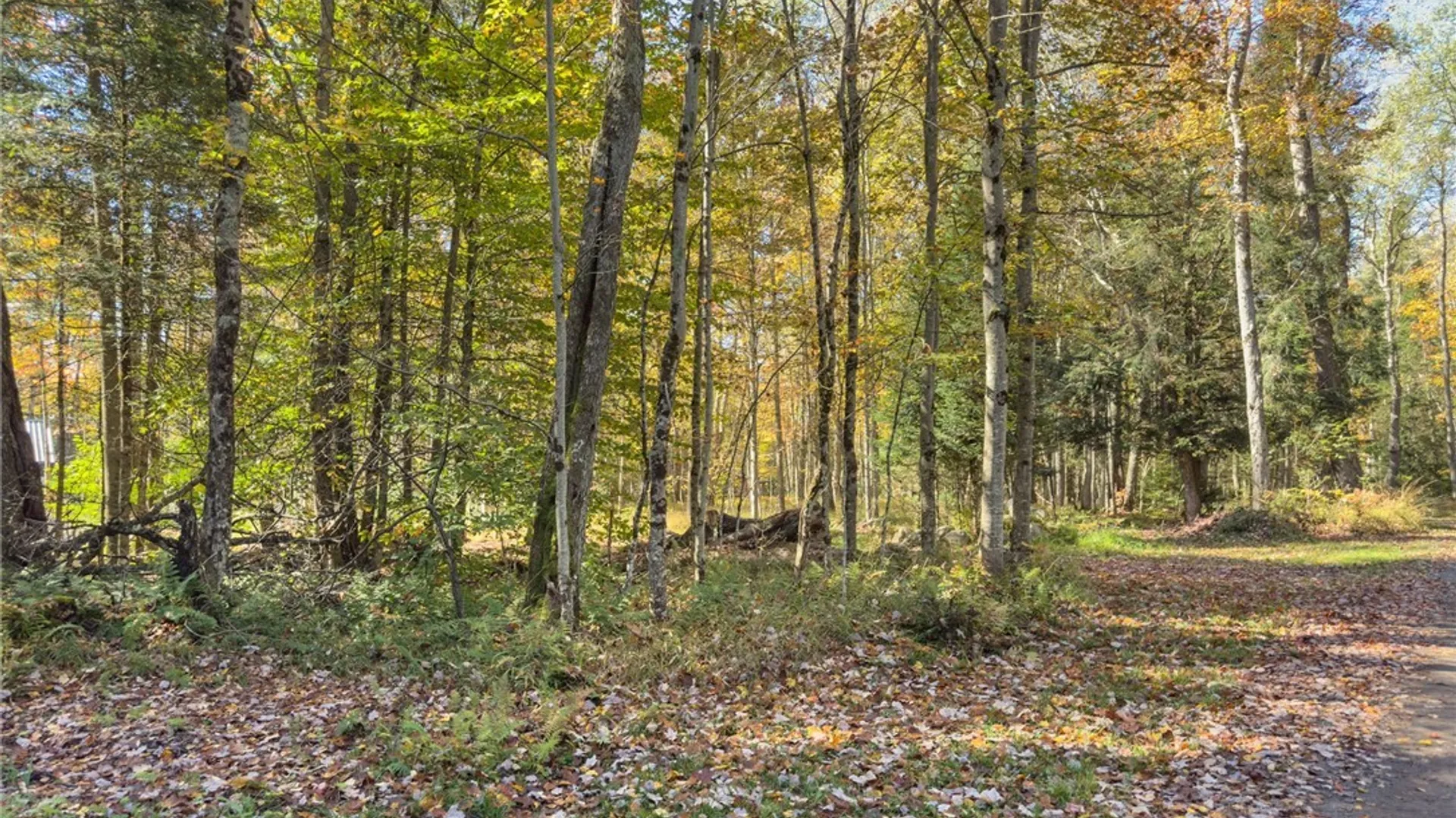 Property at 00 South Road, Forestport, NY 13338 24