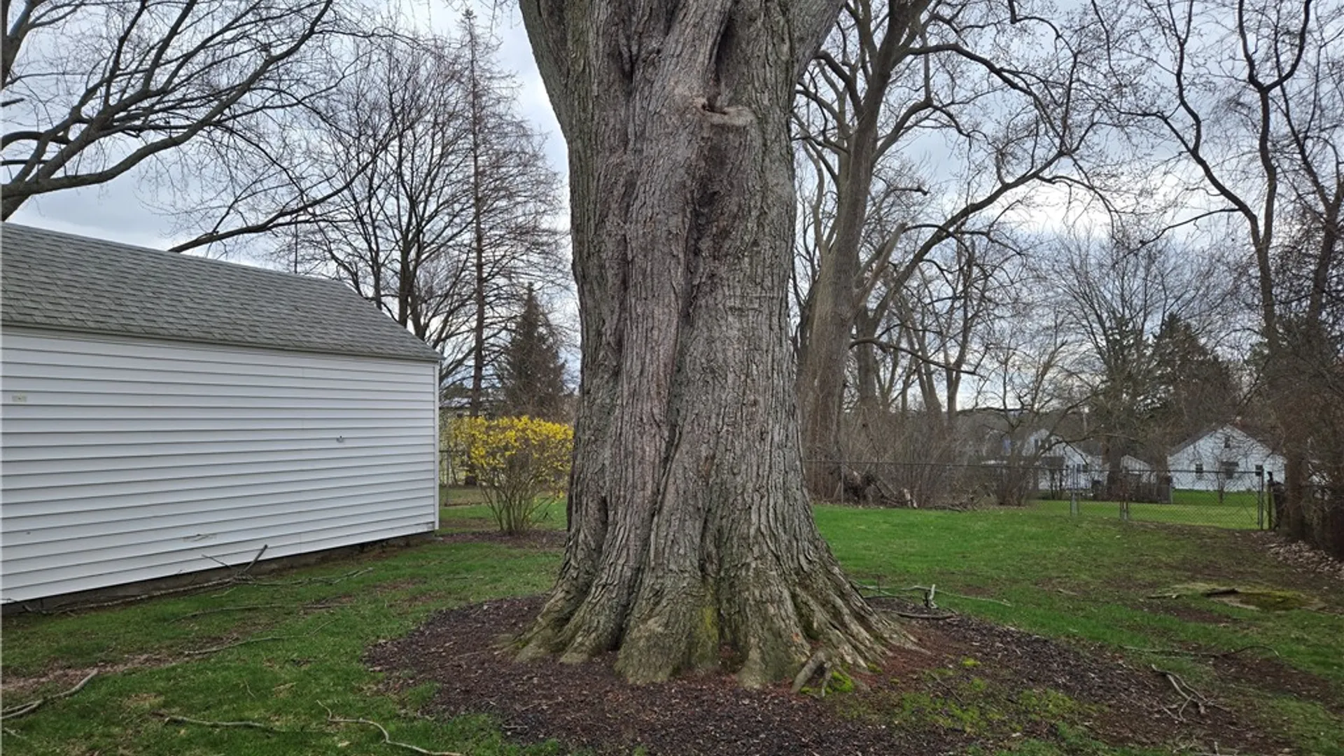 Property at 3 Celia Drive, Henrietta, NY 14623 48