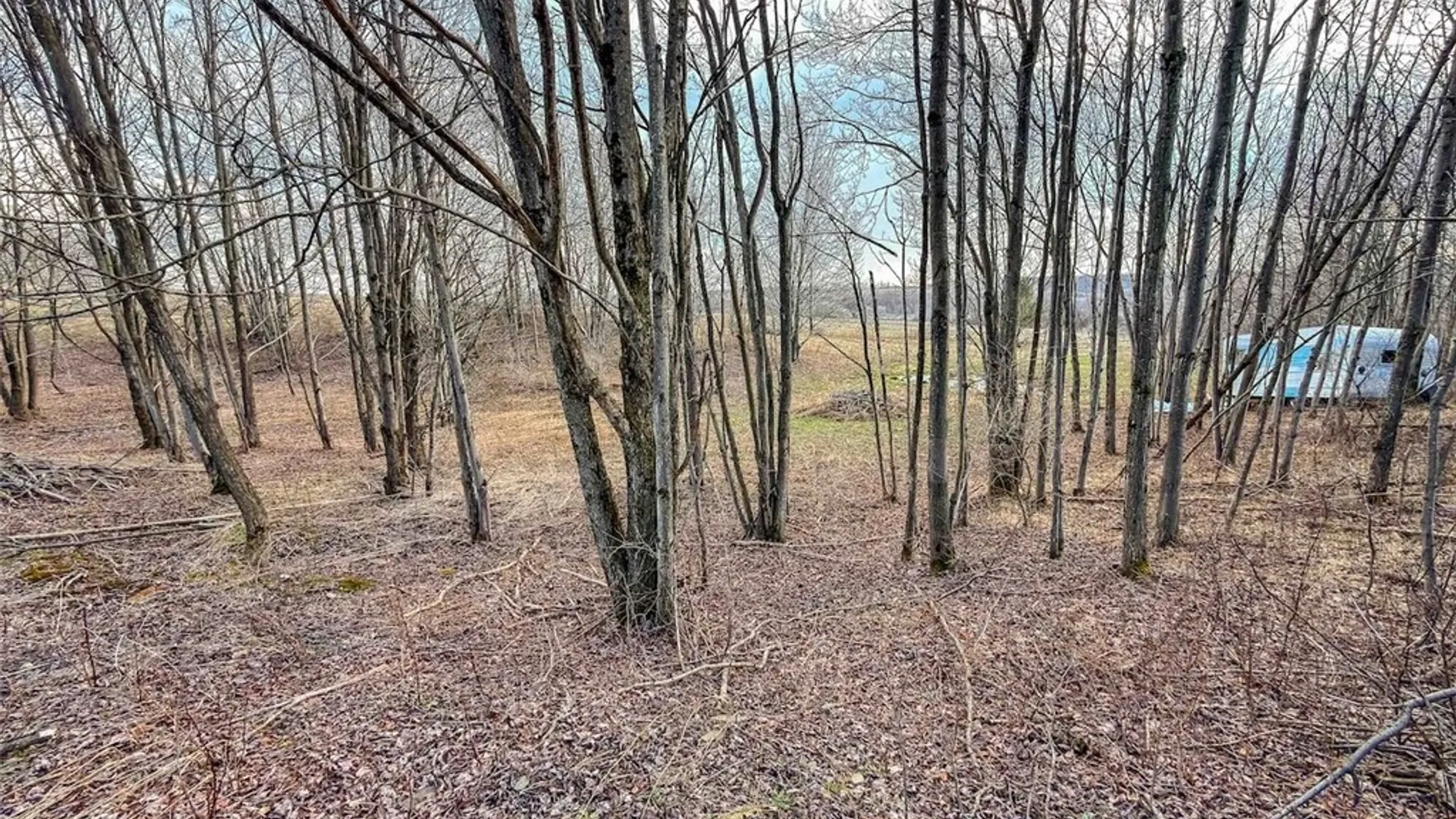 Property at 2407 Timmerman Road, Jasper, NY 14855 16