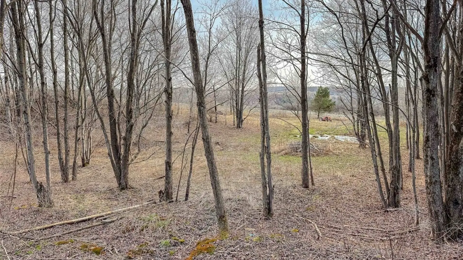 Property at 2407 Timmerman Road, Jasper, NY 14855 17